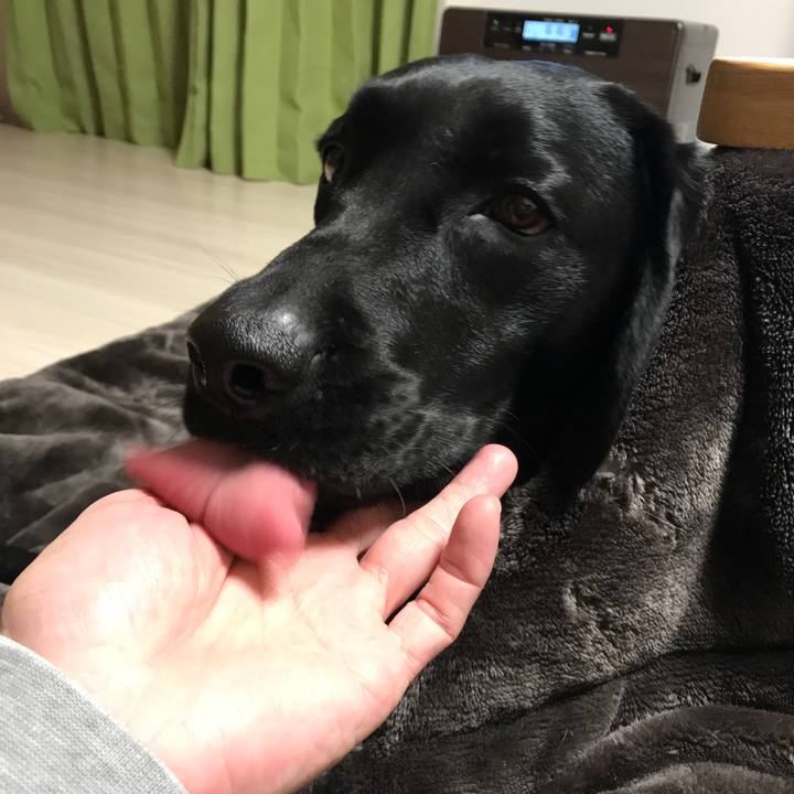 A157e485 590c 47f9 ad79 72774e980ab3 1515717145696