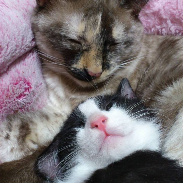 A1583c99 dd92 487e 82e4 38bddf85133a 1647954602323