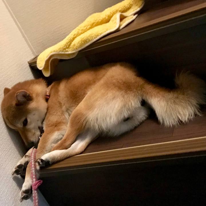 A1586c82 bfaa 4c19 a69a 933e5ae77734 1522245046691