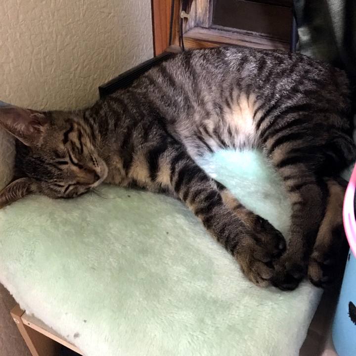 A15876a3 a58b 4485 90b2 ed3a4d1b118d 1537622634857