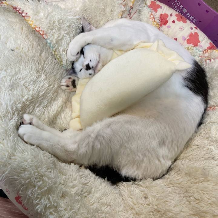 A158d9a3 1e9a 489b b5a7 b990a01dfbc9 1773749951374