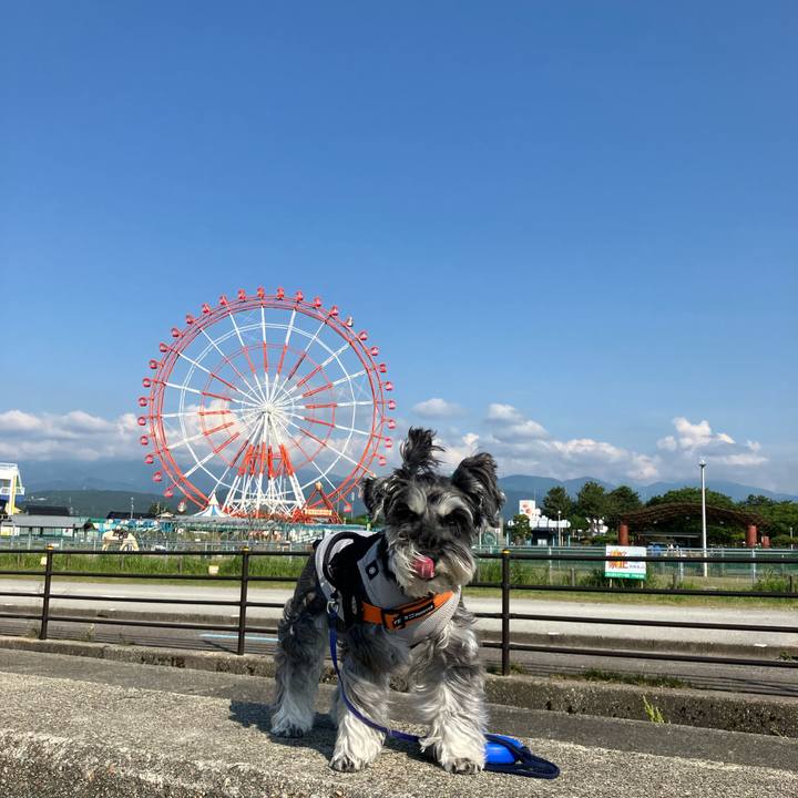 A1591f50 9ec2 492c b430 7f2c68e0a281 1717244098710