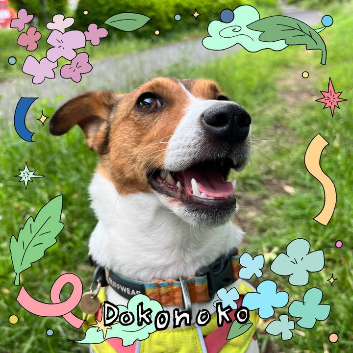 A1593865 0164 4d98 b327 68bff754ca4e 1717586807264