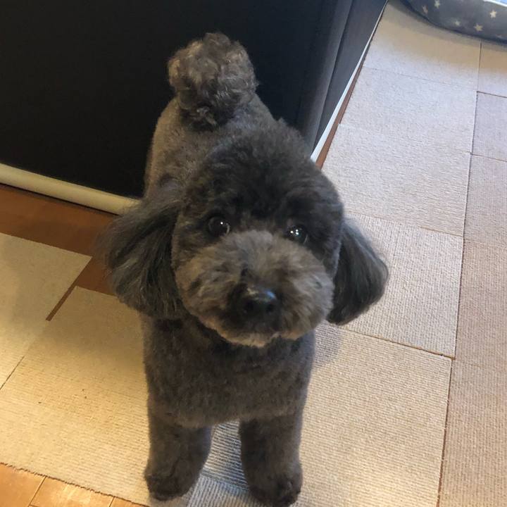 A1595b3e 6c4b 439f b362 629f431c4cb7 1611738442989