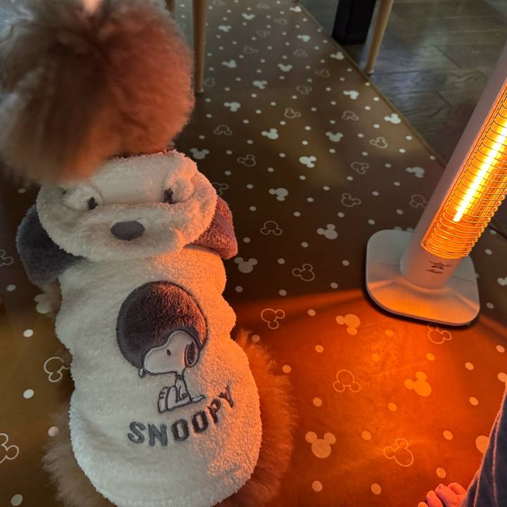 A159855d 0618 4bdf 94b5 6a518e644190 1761545645241