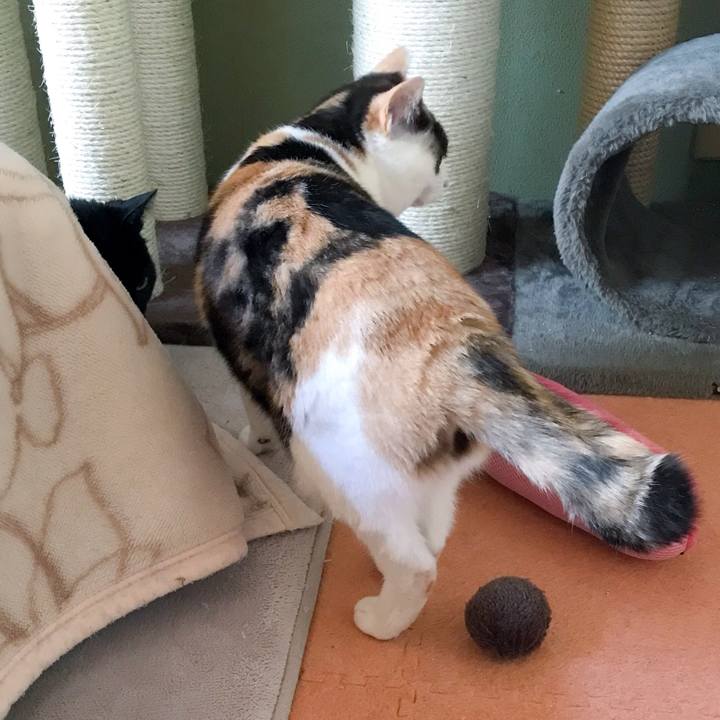 A15991d8 10b8 462b 990e 5b0dab0dc5b1 1525051056404