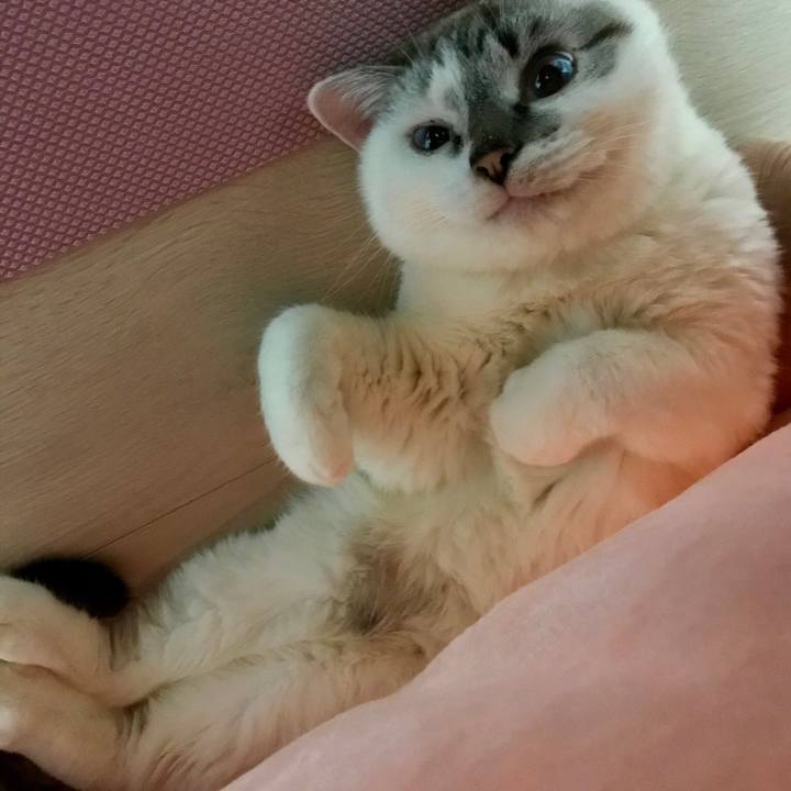 A159e0e9 8056 4d4e 897a 598ff9299293 1514679869324