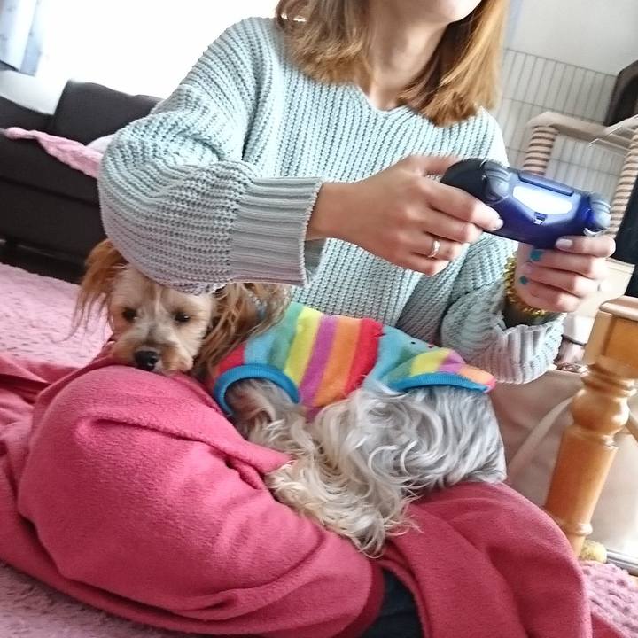 A159f1e1 138a 4b3b 9f13 9975c1377f19 1547282058992