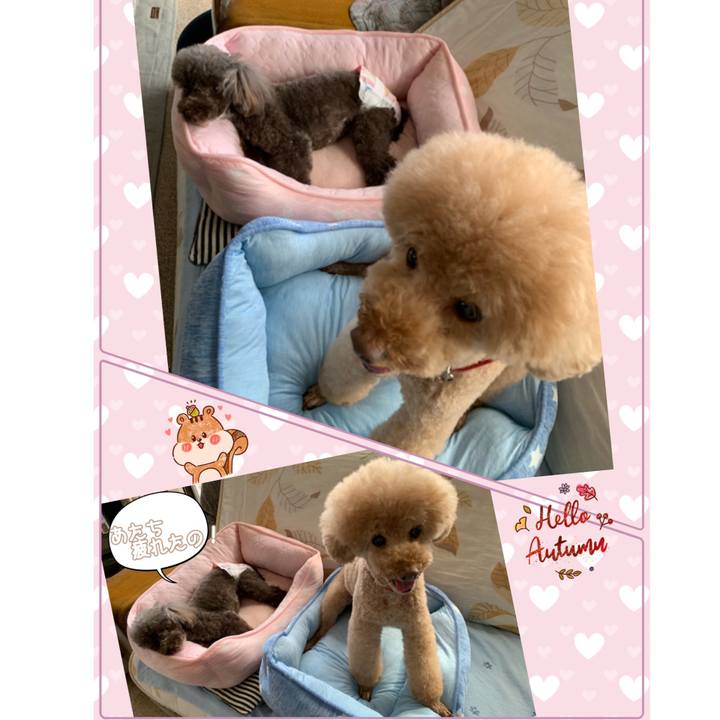 A159f4e4 4f91 45d3 b3dc 2e8dd458c23a 1569479717731