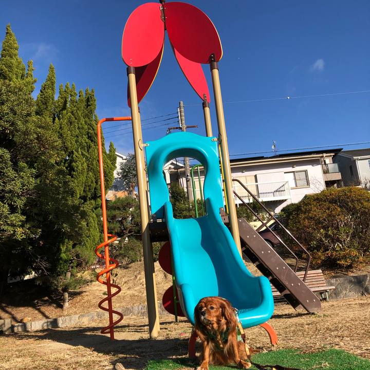 A15a6852 d917 46b7 8fa5 1f7fbf2df0e1 1608466993834