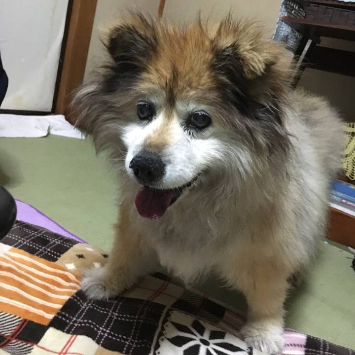 A15ac58e a621 48de 93aa efcf315e7d31 1608328857371