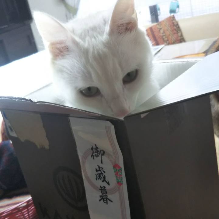 A15ad49d 5d08 4622 b58f 573f139330bd 1638409459919