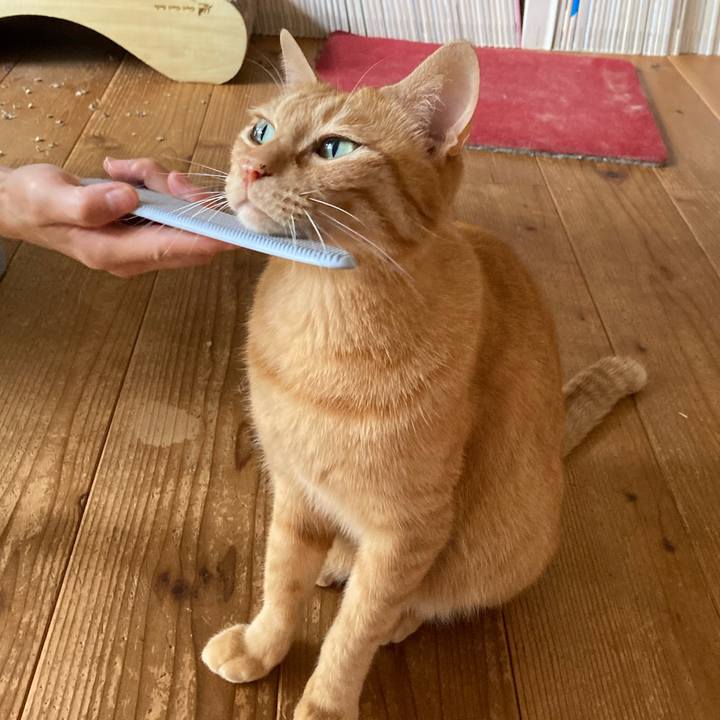 A15ae847 bbe0 4e89 aedf 432cebbb7ee3 1663924591216