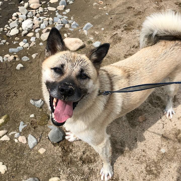 A15b19eb 7d0f 4945 849c 849a99a1ce1c 1532242100581