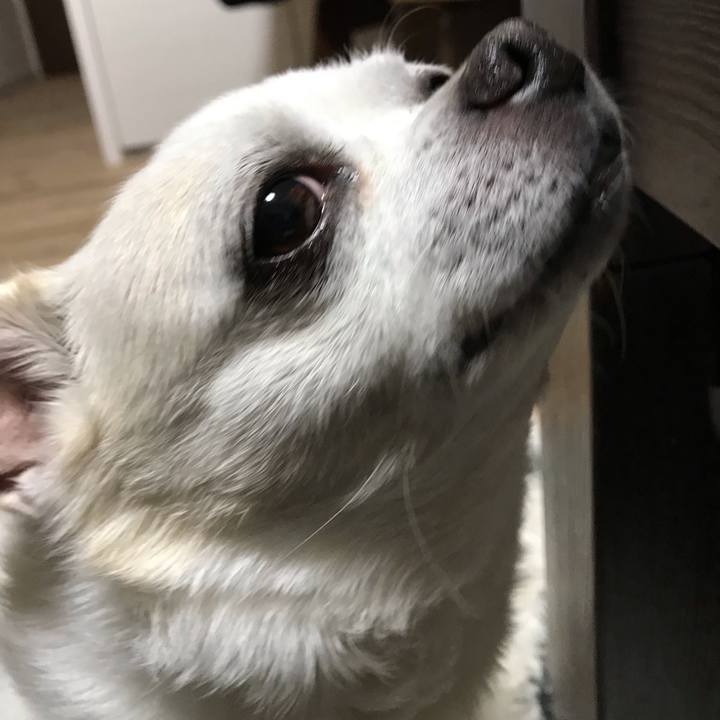 A15b7843 187d 4274 825d e3b11f514ff1 1588848610045