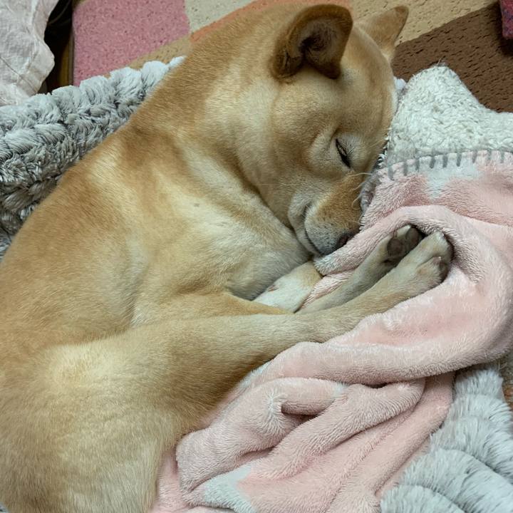 A15b85f1 21d6 45b0 bed0 018d5386a5f8 1643890580114