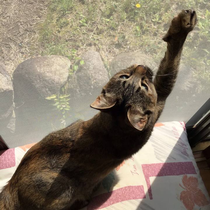 A15bc079 c6e6 43c9 9a4f 139ed8fe95c5 1587016777461