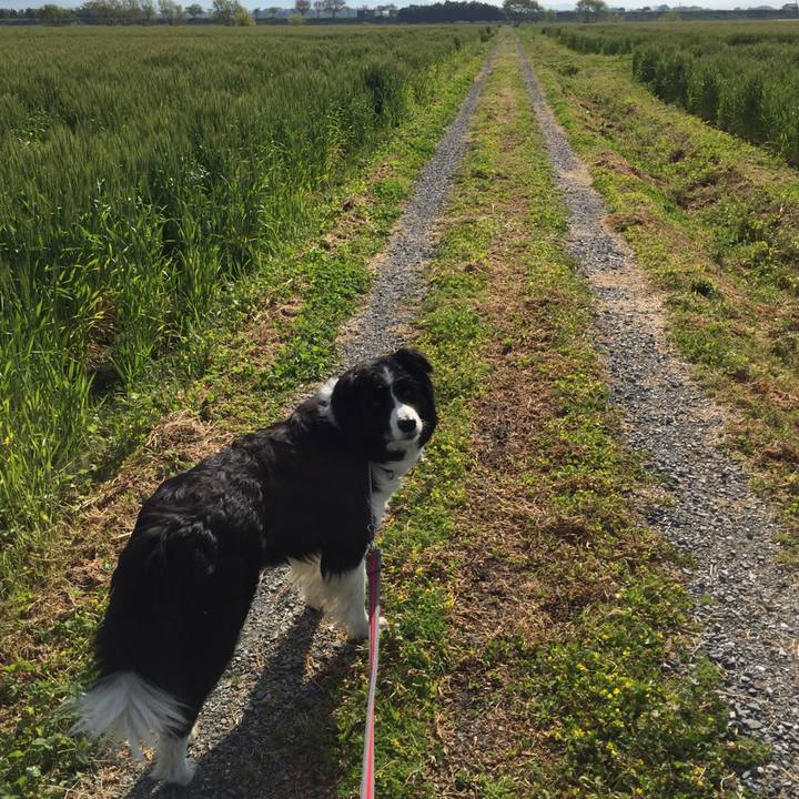 A15c18d4 6451 4050 8a0c 8adcc72582a8 1555116279166