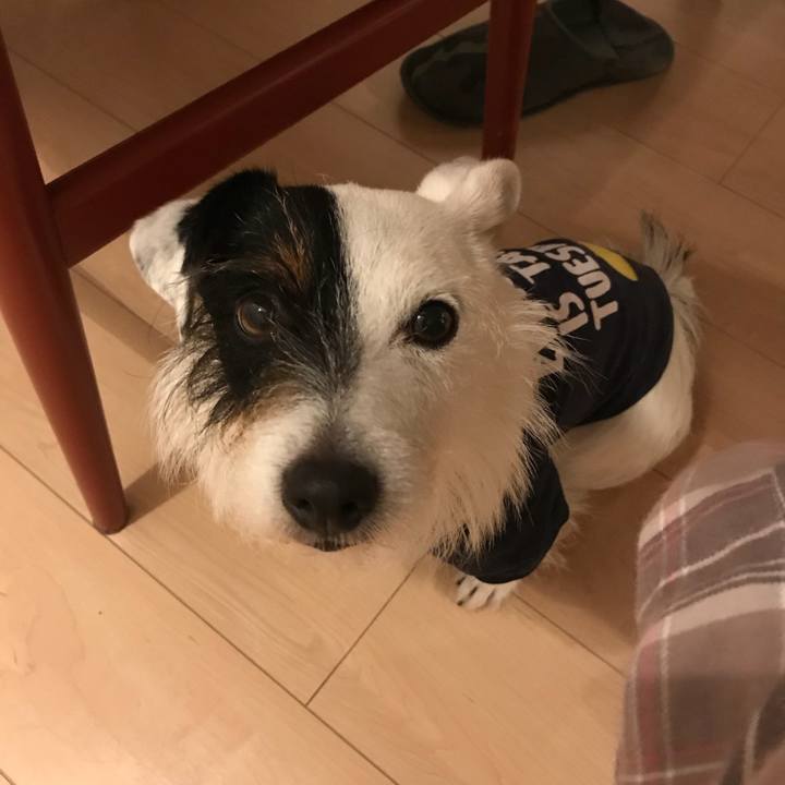 A15c2948 e230 46a6 acff 82d141502a2f 1523889358344