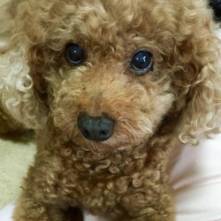 A15c29fe 6cbc 4aa8 82d9 f2c8a38194c2 1536482147019