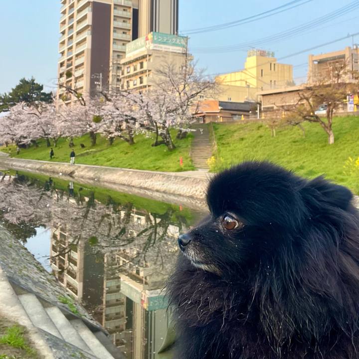 A15c4812 3aa4 43ef 9da9 4e036f9f89da 1774779938408