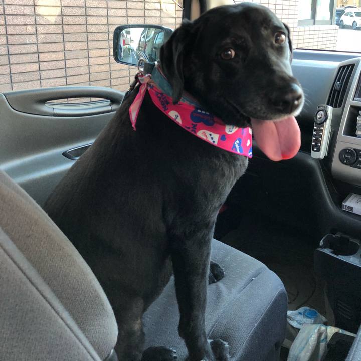 A15d7861 bee8 413b bcae 109dc1683022 1528012149579