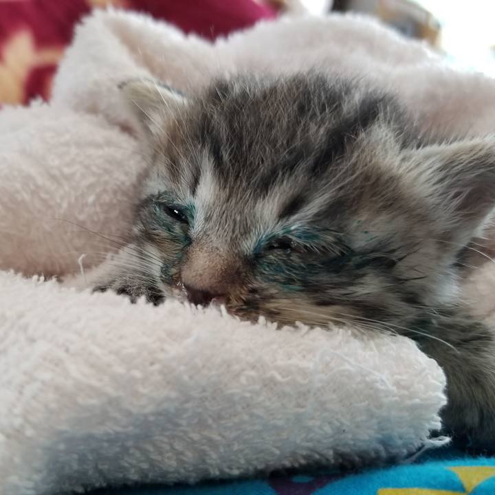 A15d9d07 95a7 49dc bcb3 22caeb2a4db4 1659694507290