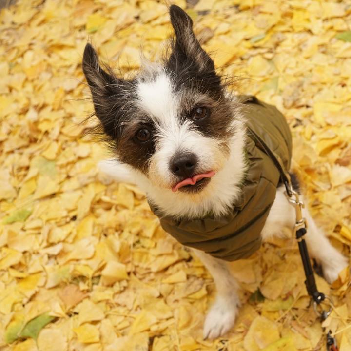 A15da0ca 4024 43f0 b4e3 3b8c8fc9368a 1668424827143