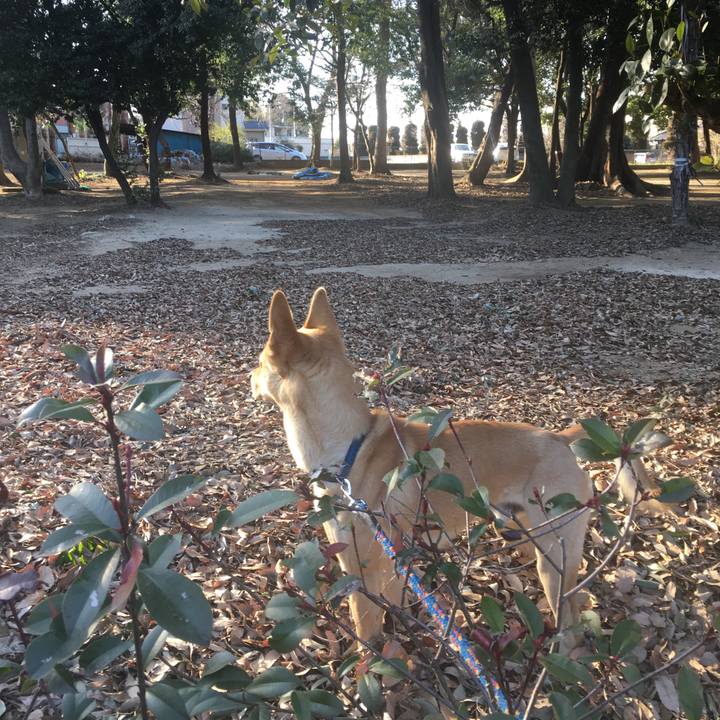 A15da33e 8ff8 4eeb b2a5 8ad149be58c8 1518937924101