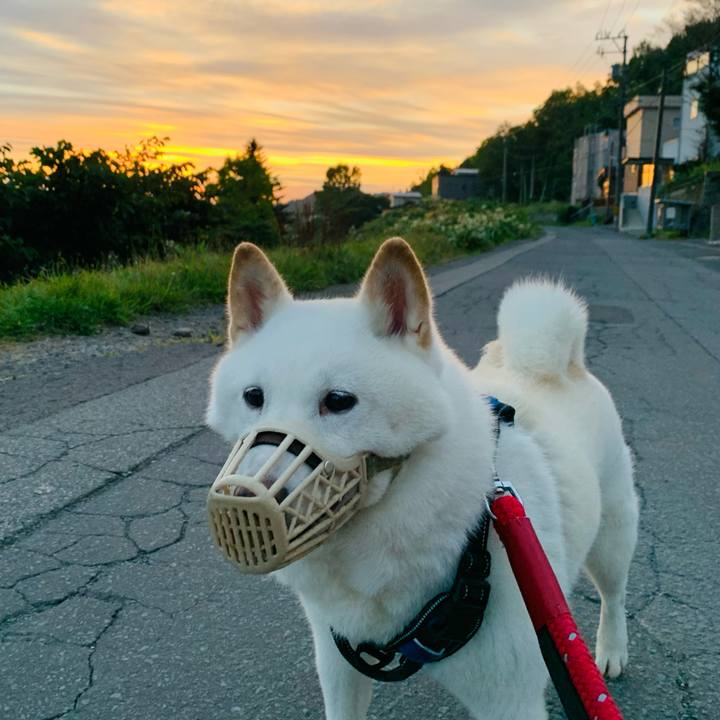 A15dbe90 6f2a 4a34 a39e 24999ac6c85d 1662928914692