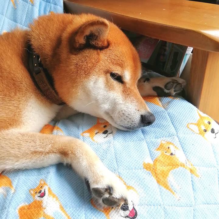 A15dcf8a e0ce 41cc a561 5243d292367a 1652406343431