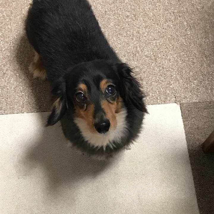 A15dee72 e62e 4732 a822 e43f6d294649 1522965238266