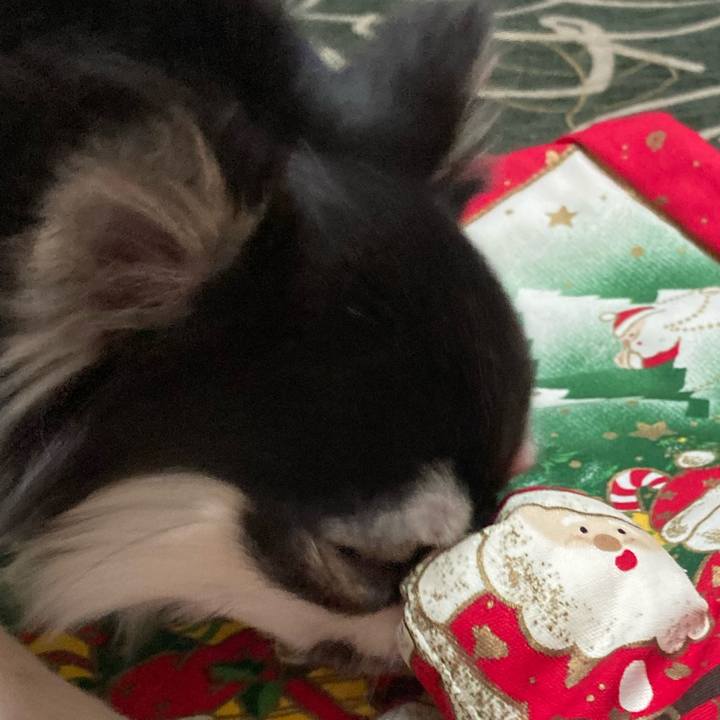 A15e281b 0e20 4fff a384 8a70190cc2ff 1640442573809