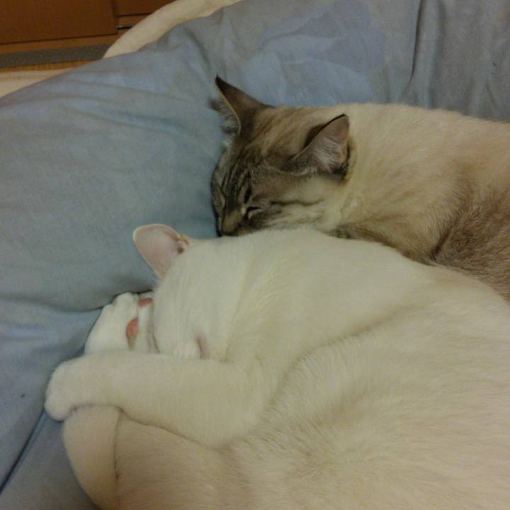 A15e2c31 7897 4f11 a1f9 fb91cac5c6fa 1512228291646