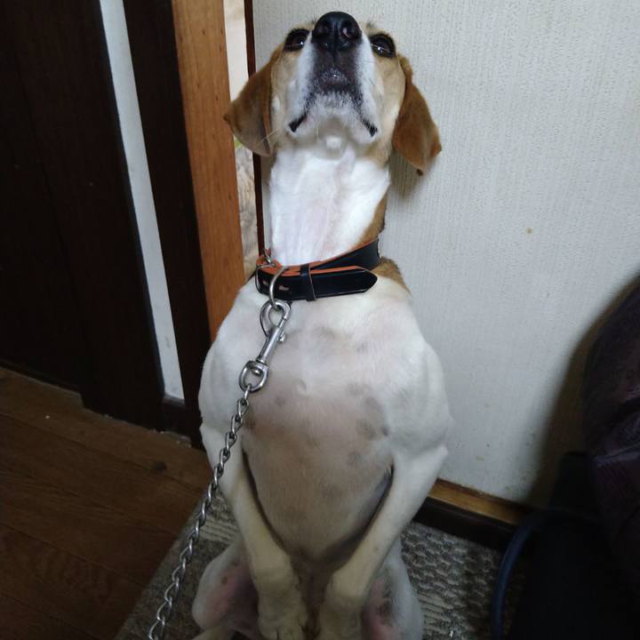 A15e4747 53cf 4ab1 b39e 173ac26073f6 1627181866473