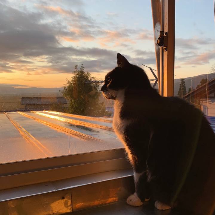 A15e48d3 fe91 46f7 a1e3 86bc2647155a 1573425366445