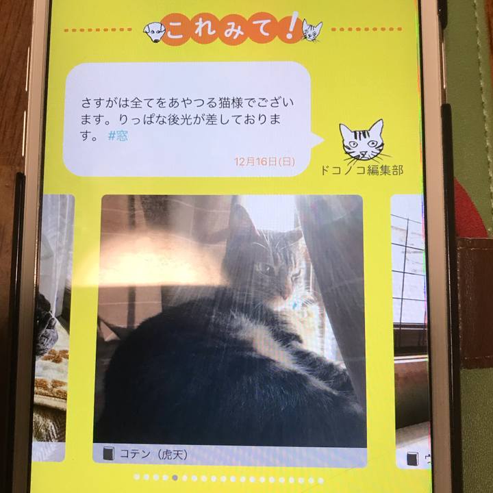 A15e50f9 2323 4bca 98ec 2d1eea6c5bad 1544962930389