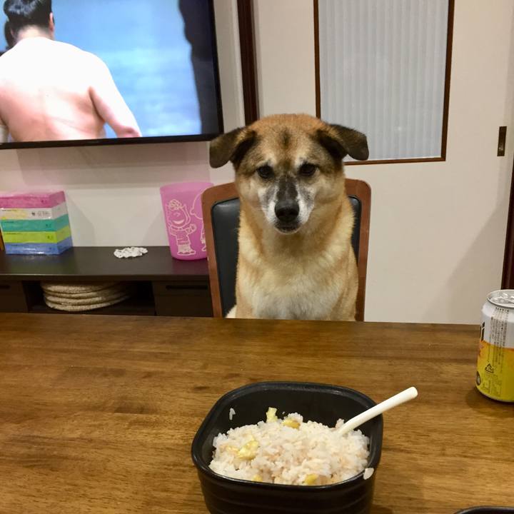 A15e56c0 a221 4b79 948a a85b7042d24e 1569142823003