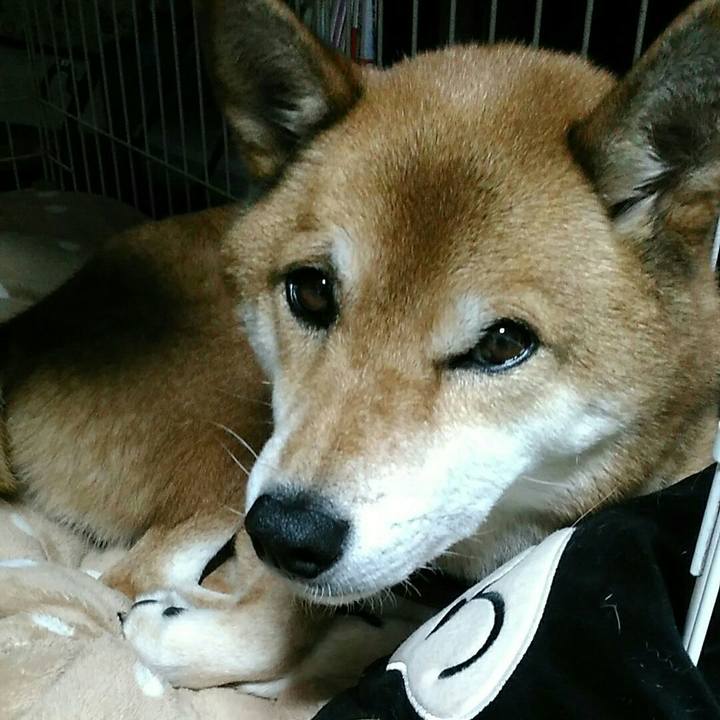 A15e5996 42b1 4211 b03c 61735c273c80 1574162240153