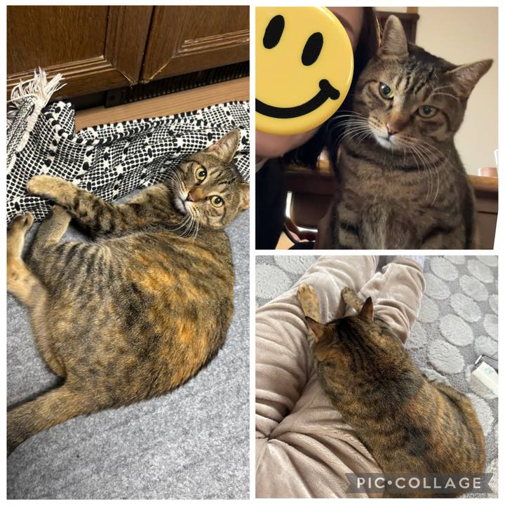 A15e6f52 cbde 497b 95e9 549d614781fc 1767506215919