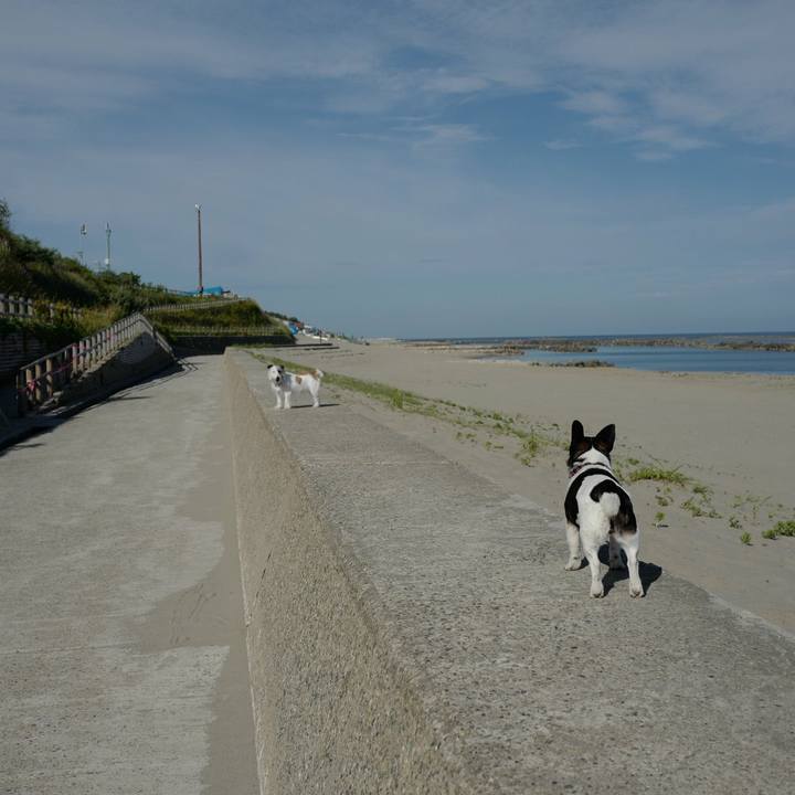 A15e7461 4f8e 48f7 a34b b6e72fc46b6a 1529379909600