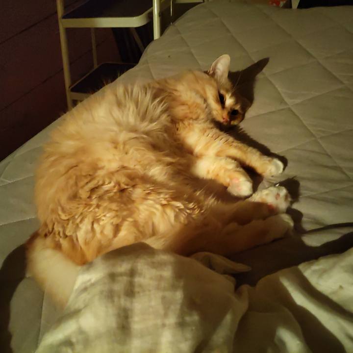 A15e7b34 9ff3 41cc 85de f91d9611ce32 1692371467793