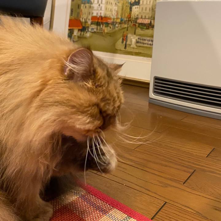 A15ead0d c689 4d05 b08b b2e3e1db248d 1618477289268