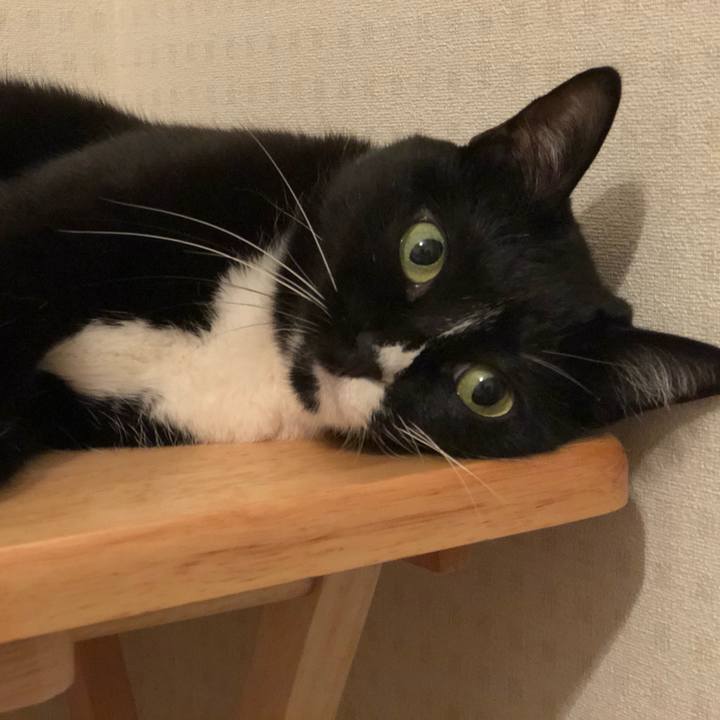 A15ed297 2975 4cbf b127 df36f8ad71b2 1598824302930