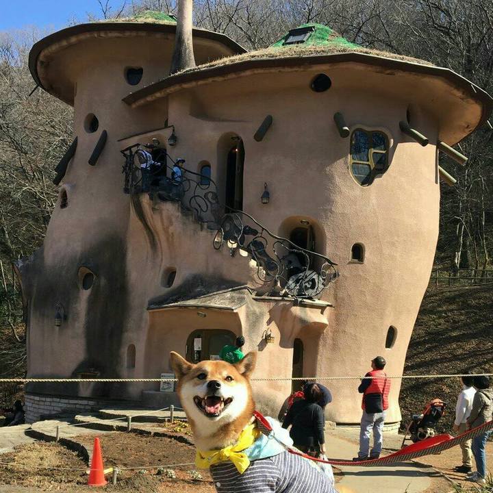 A15ef7a1 ac12 41d0 a7c7 9315d897bfac 1549207738458