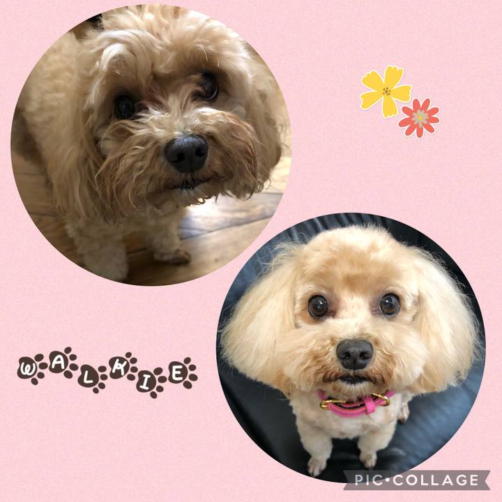 A15f3d1e 2ee6 4cfd 85eb edf7751794a1 1653115054202