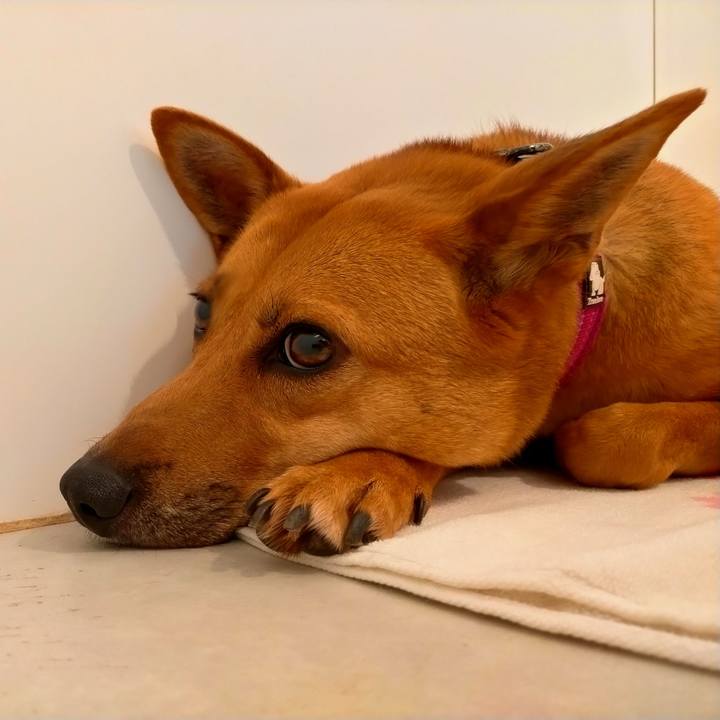 A15f4011 9da3 440d bab8 555390959619 1686841378811