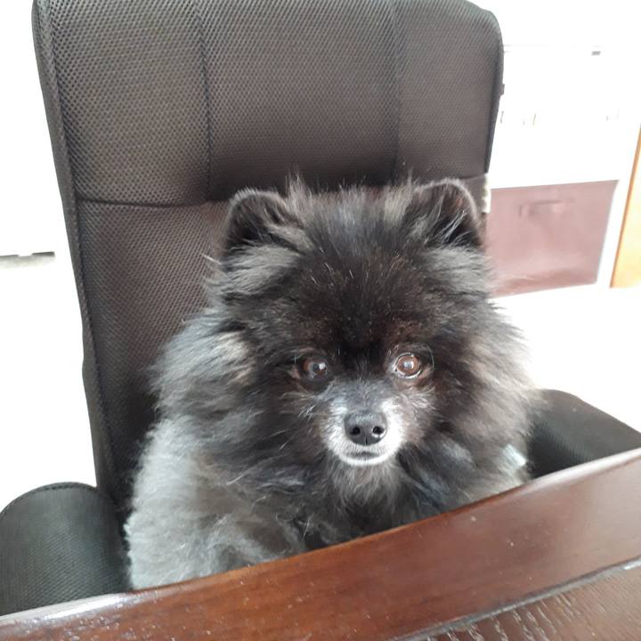 A15f64ed d170 4adf 9bea e5d8c1df4d5f 1546991832495