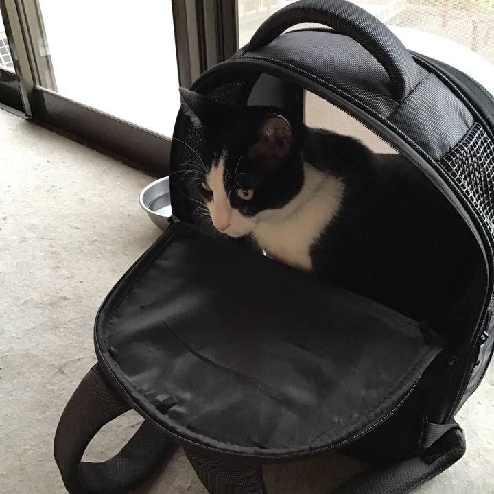 A15f89f2 1b39 48af 9586 139b6d050538 1717924763544