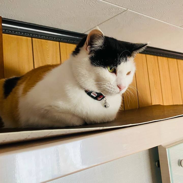 A15fd0ad d55d 4e23 beec 1b77c1c41efc 1652600923616